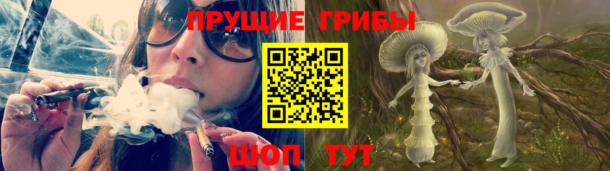 Псилоцибиновые грибы мицелий Георгиевск